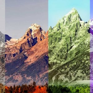 Nature Photo Editing
