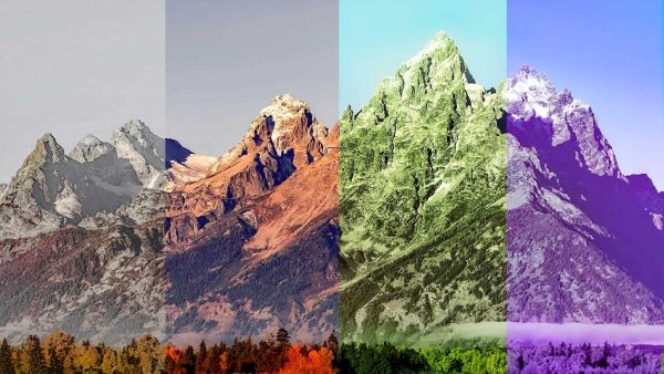 Nature Photo Editing